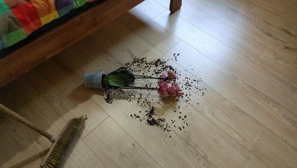 IMG20230913161255