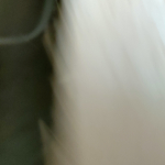 IMG20230629150259