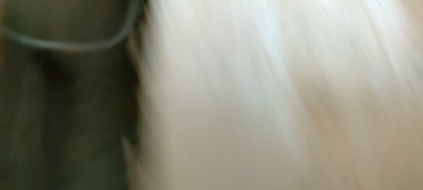 IMG20230629150259